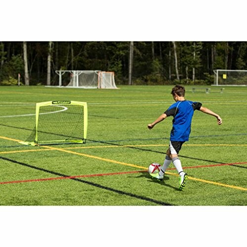 Child playing soccer on a field with a small goal.